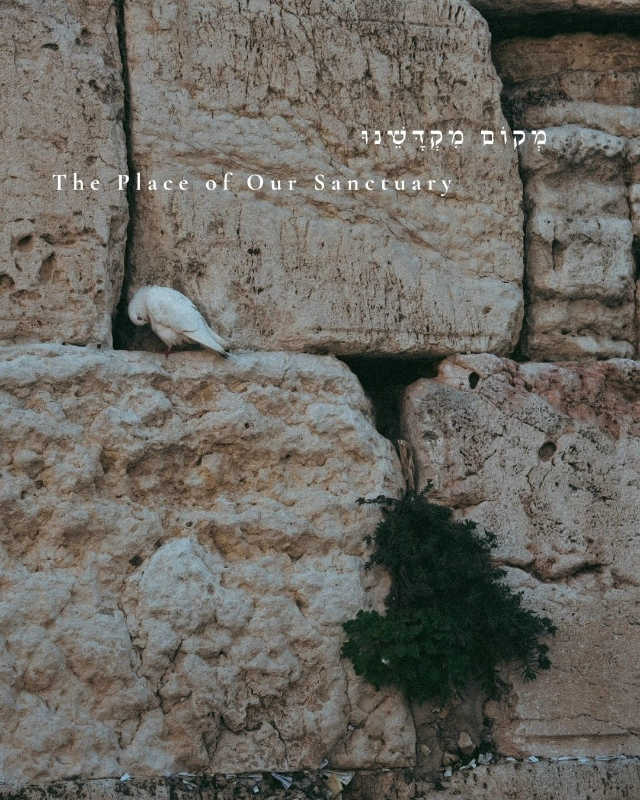 Jerusalem gallery 37